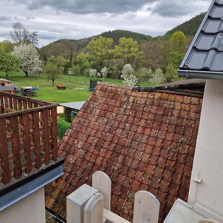 Ferienhaus Reschwitzer Auszeit Saalfeld Saale Exterior photo